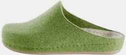 Dr. Feet Hausschuhe In Grün